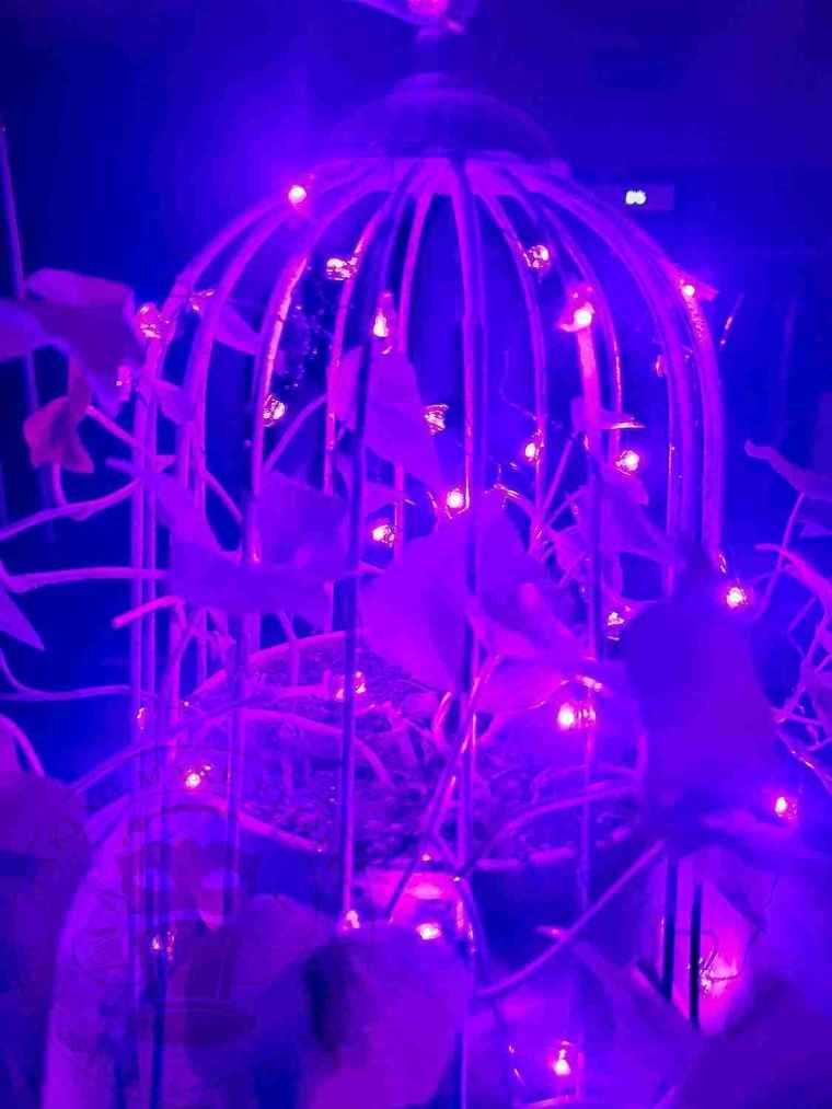 Eerie botanical