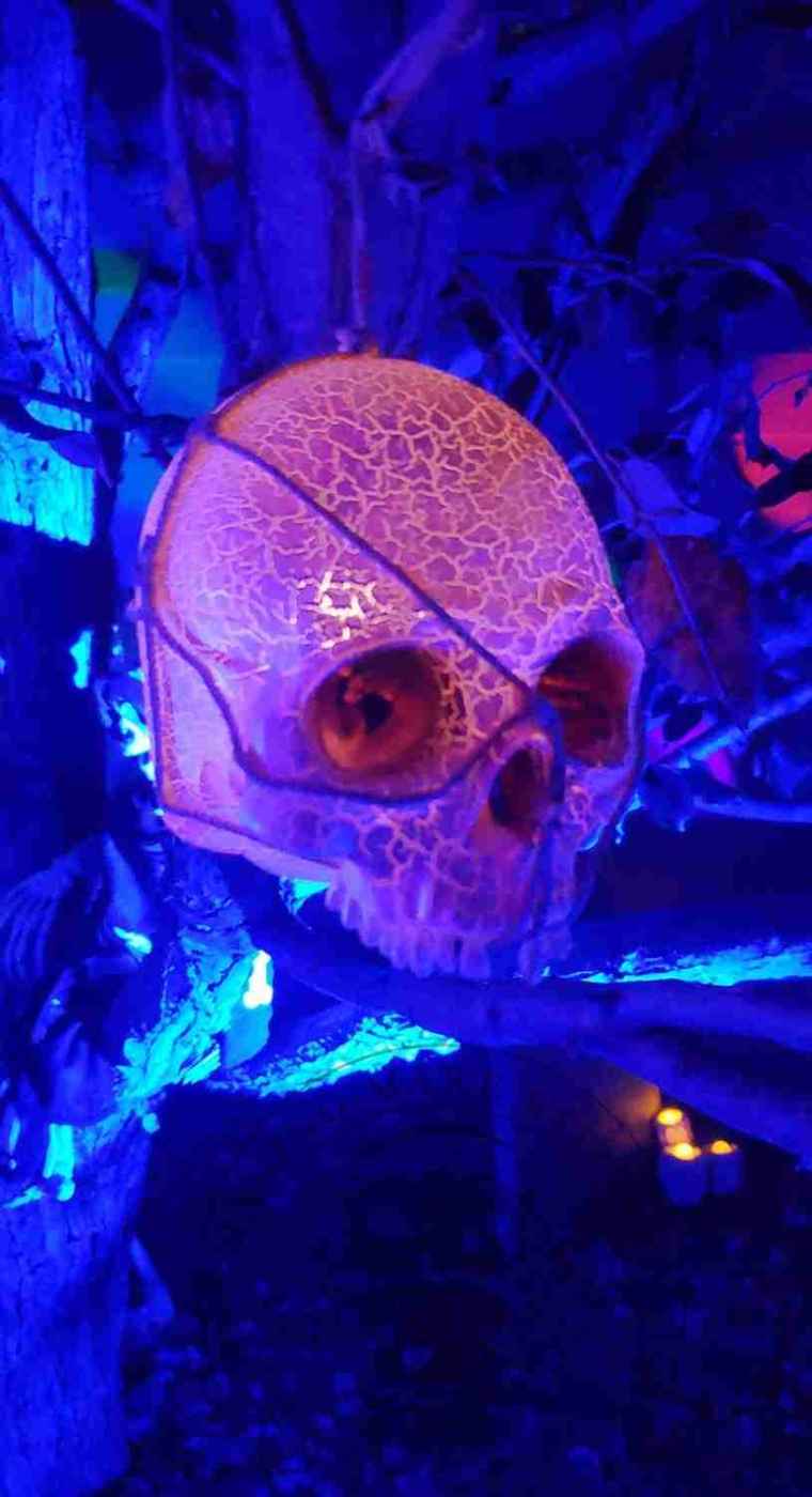 Hanging skull with sound