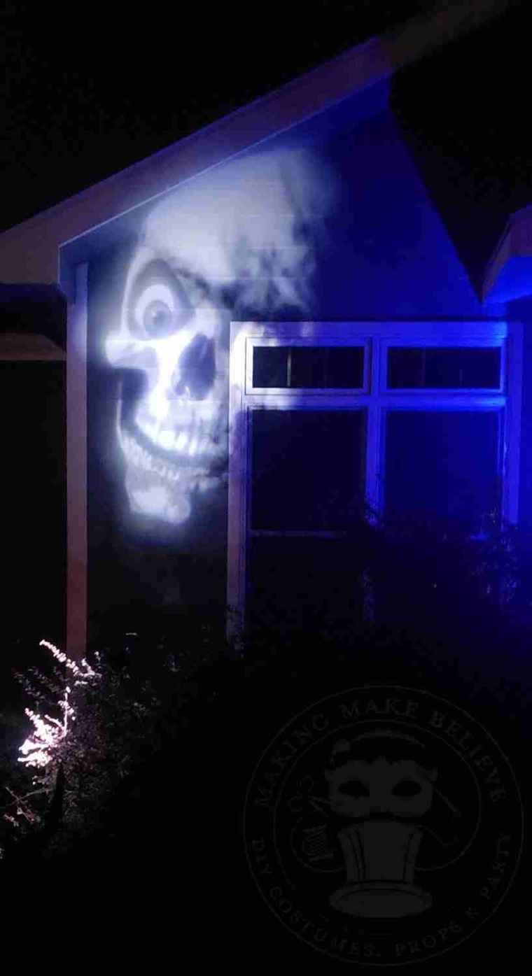 Projection skull