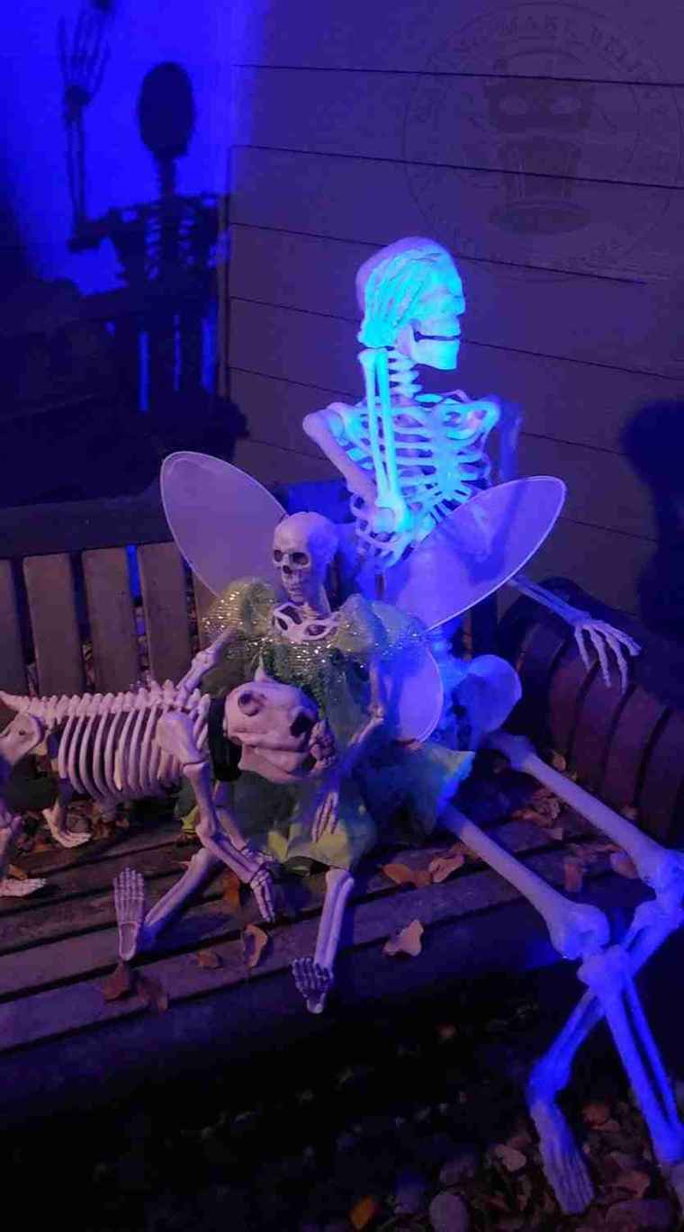 Skeletons on the bench